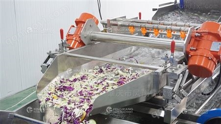 蔬果沙拉净菜生产线制造商