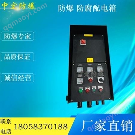 ZH-BXM(D)-8050BXM(D)-8050防爆防腐照明动力配电箱