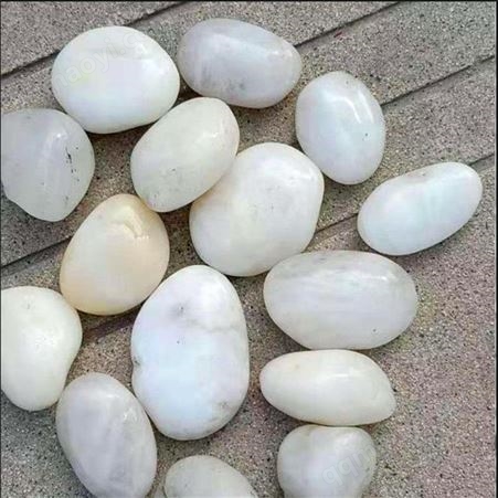 21035蓝澄 多用途鹅卵石 鹅卵石价格 水过滤用鹅卵石