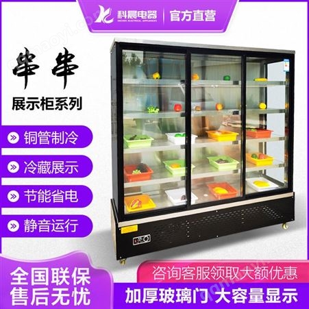 蔬菜冷藏保鲜柜按需定制 科晨蔬菜冷藏保鲜柜