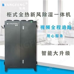 新风除湿一体机 柜式新风系统