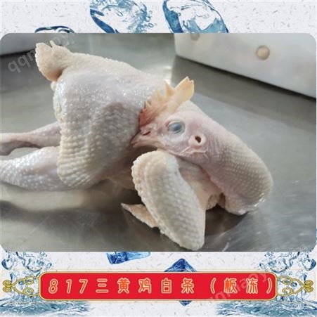 各类冷冻生鲜食材新货白条鸡817三黄鸡_有路食品_袋装9.5KG大小均匀6只到9只_三黄鸡生产厂家_山东三黄鸡批发价格