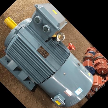 YE3-315M-4上海恒通  三相异步电动机 YE3-315M-4极 132KW 交流电机