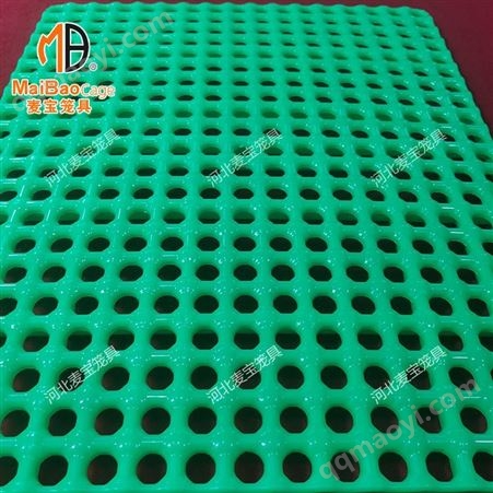 聚碳底板兔笼底板 绿色圆孔脚底板 兔子漏粪板 防啃咬塑料底板兔用垫板