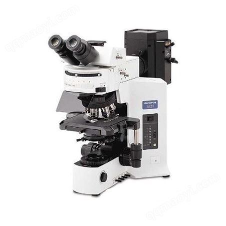 BX61智能型全自动/半自动正置显微镜 金相显微镜供应商 奥林巴斯显微镜
