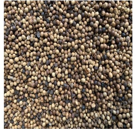 饲料级发酵大豆 裕瑞源益生菌腐熟植物性 水产养殖用牛羊用