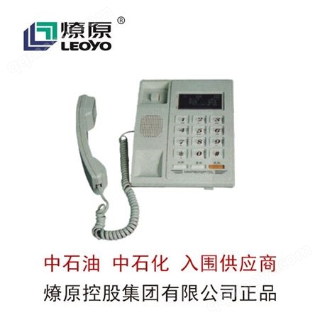 BHH防爆配电箱-防爆LED灯-BHH系列防爆电话机(IIC)