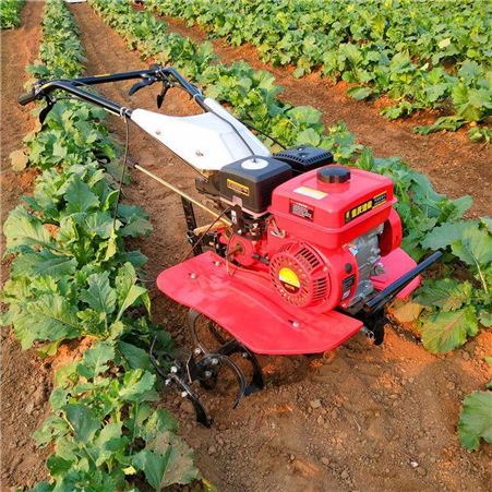 新型汽油挠地机 家用耕地打田机 手扶式柴油微耕机 翻地旋耕机